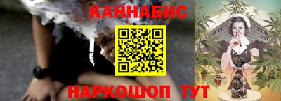 spice Моздок