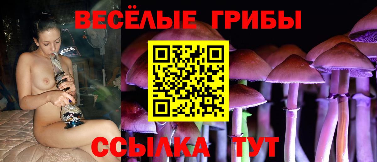 Углич  Псилоцибиновые грибы ЛСД  Вход с VPN 